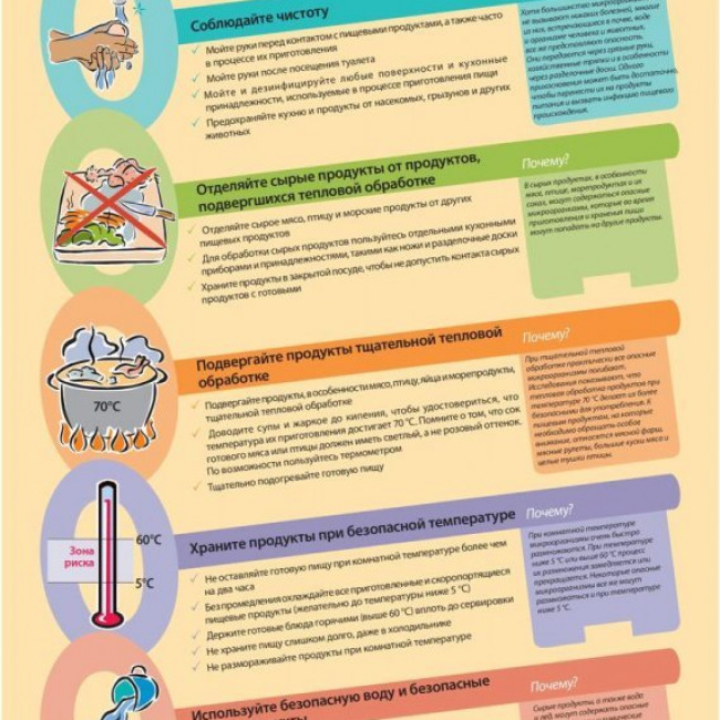 Профилактика Кишечных Инфекций