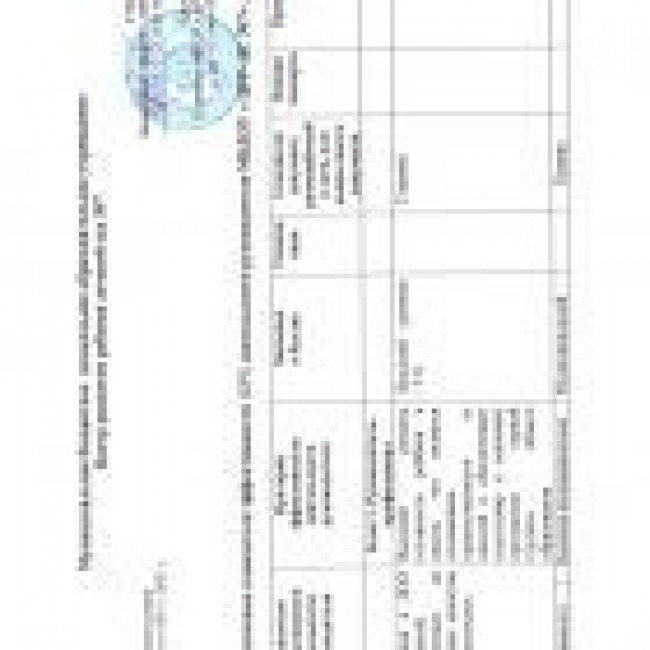 Ключевые показатели эффективности (КРI) деятельности руководителя МБДОУ « ЦРР- ДС №7»