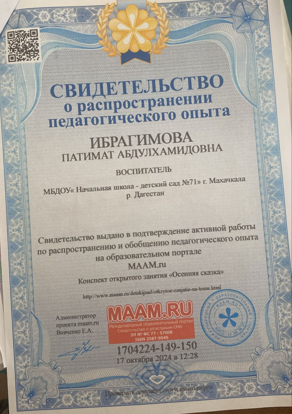 МОИ  ПРОФЕССИОНАЛЬНЫЕ   ДОСТИЖЕНИЯ