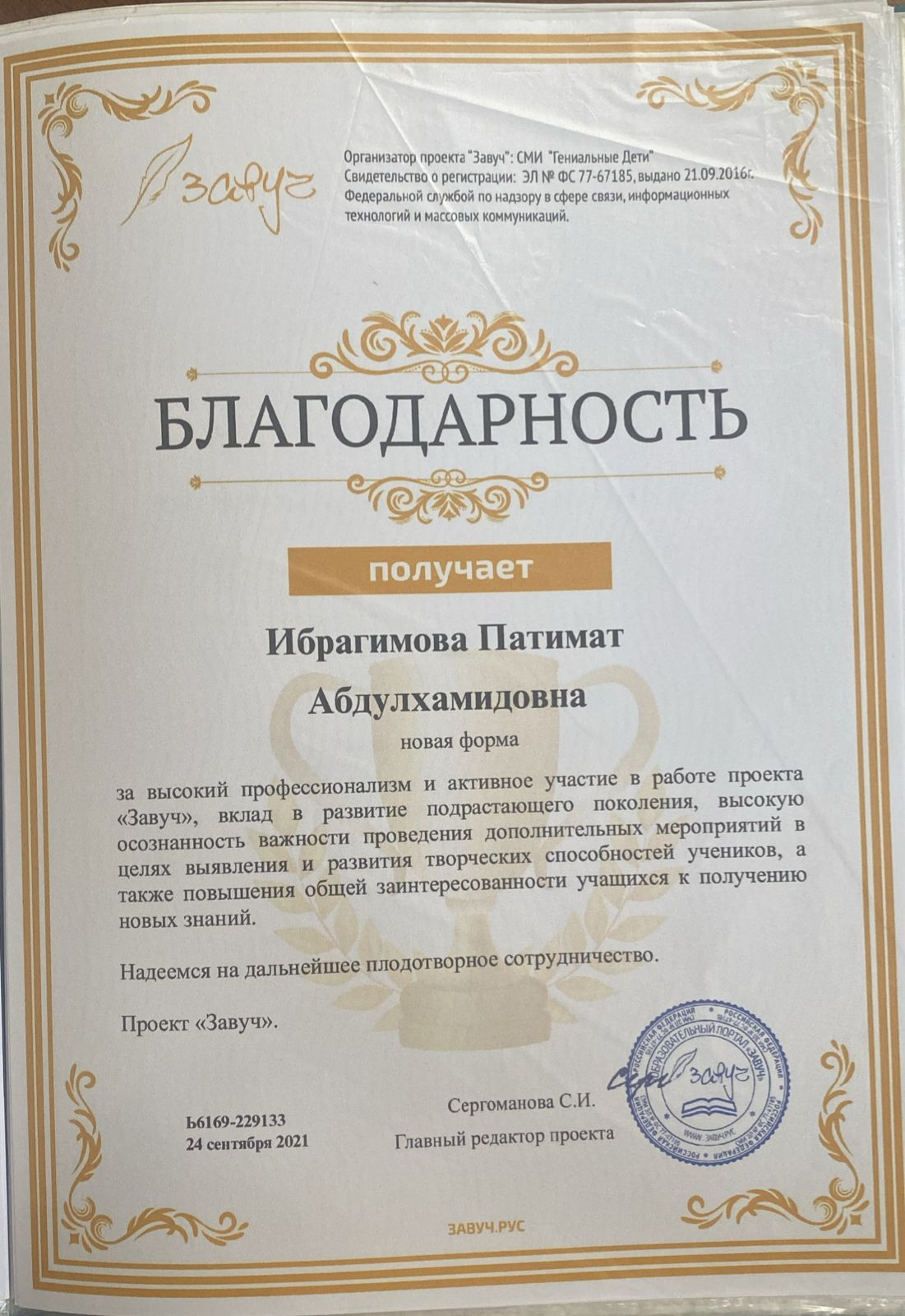 МОИ  ПРОФЕССИОНАЛЬНЫЕ   ДОСТИЖЕНИЯ