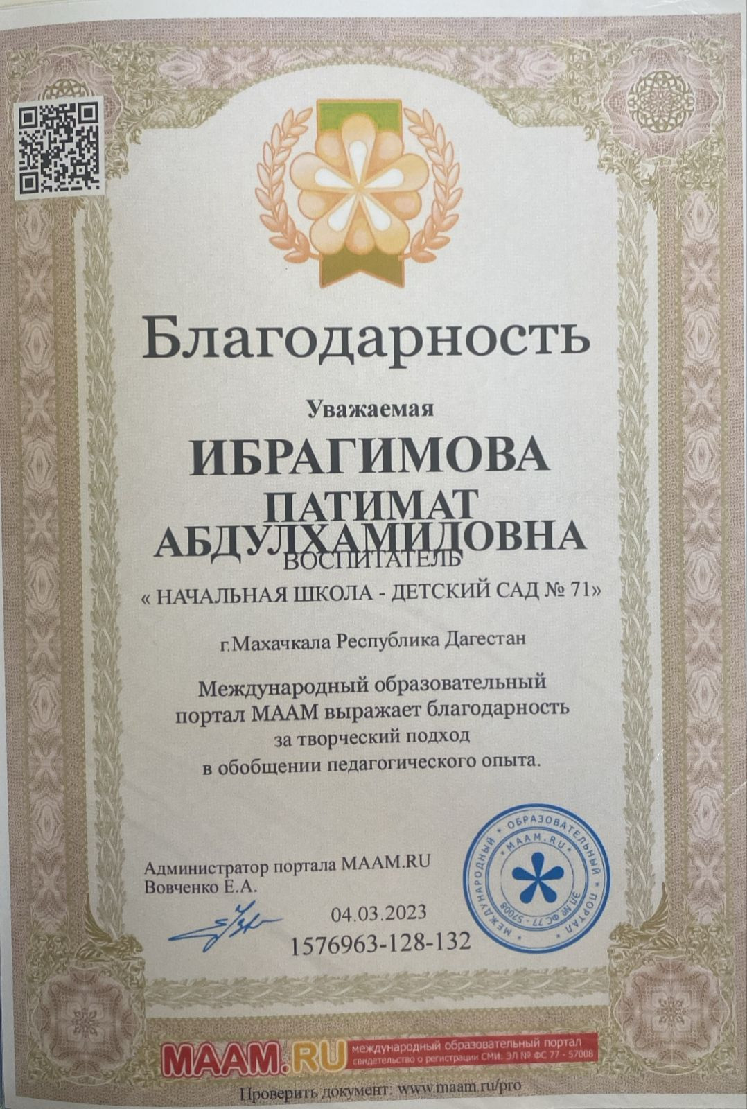 МОИ  ПРОФЕССИОНАЛЬНЫЕ   ДОСТИЖЕНИЯ