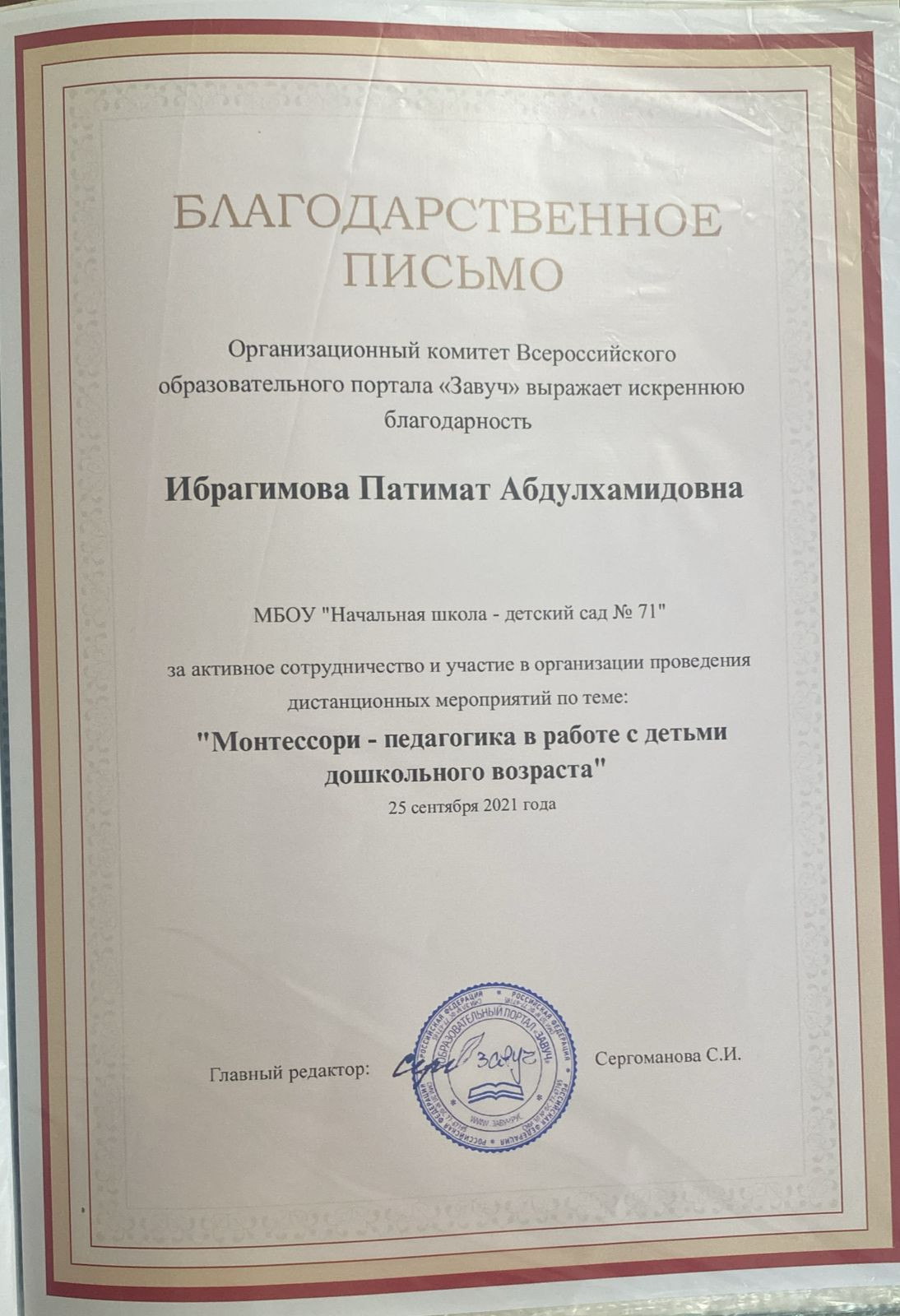 МОИ  ПРОФЕССИОНАЛЬНЫЕ   ДОСТИЖЕНИЯ