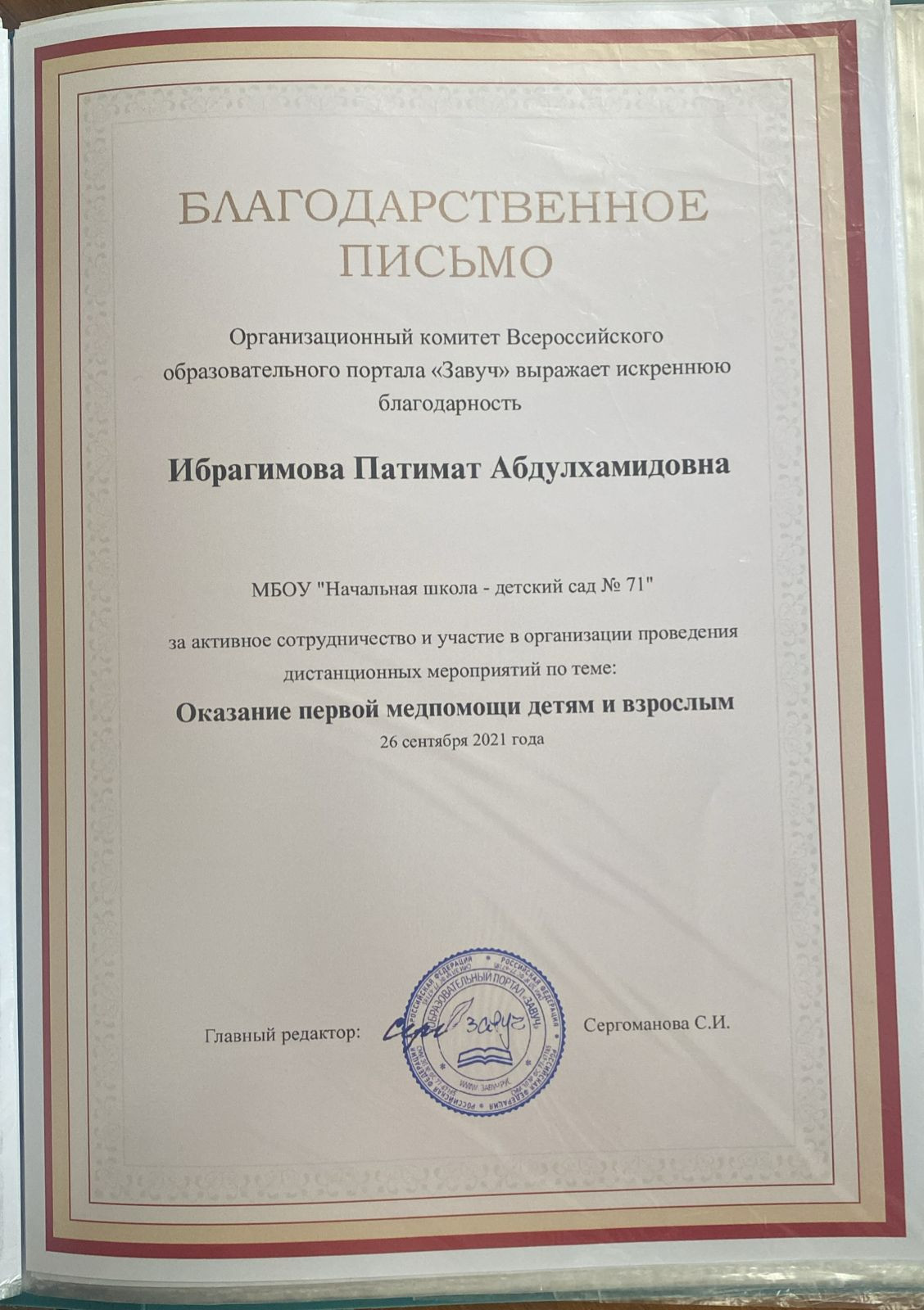 МОИ  ПРОФЕССИОНАЛЬНЫЕ   ДОСТИЖЕНИЯ