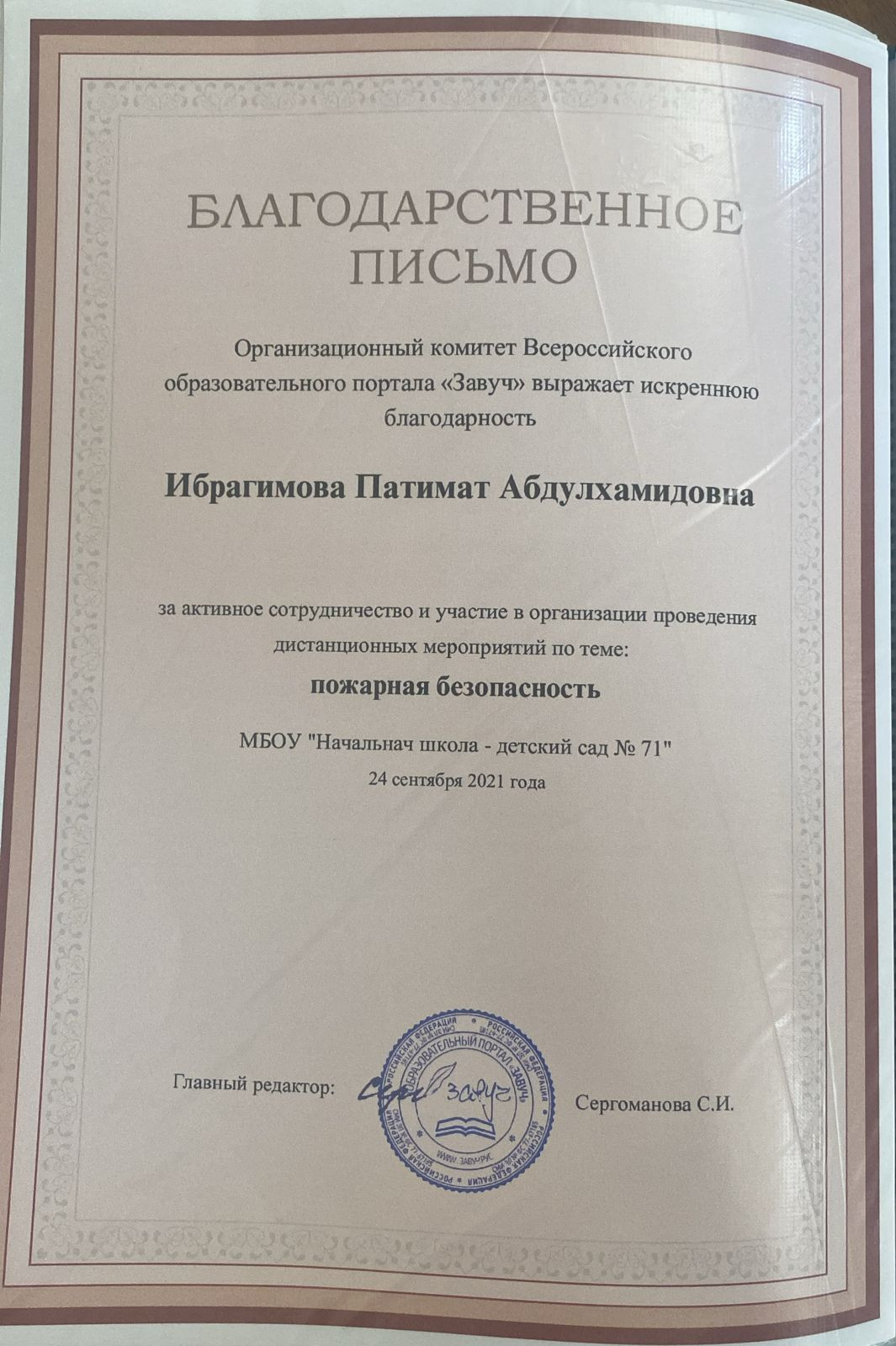 МОИ  ПРОФЕССИОНАЛЬНЫЕ   ДОСТИЖЕНИЯ