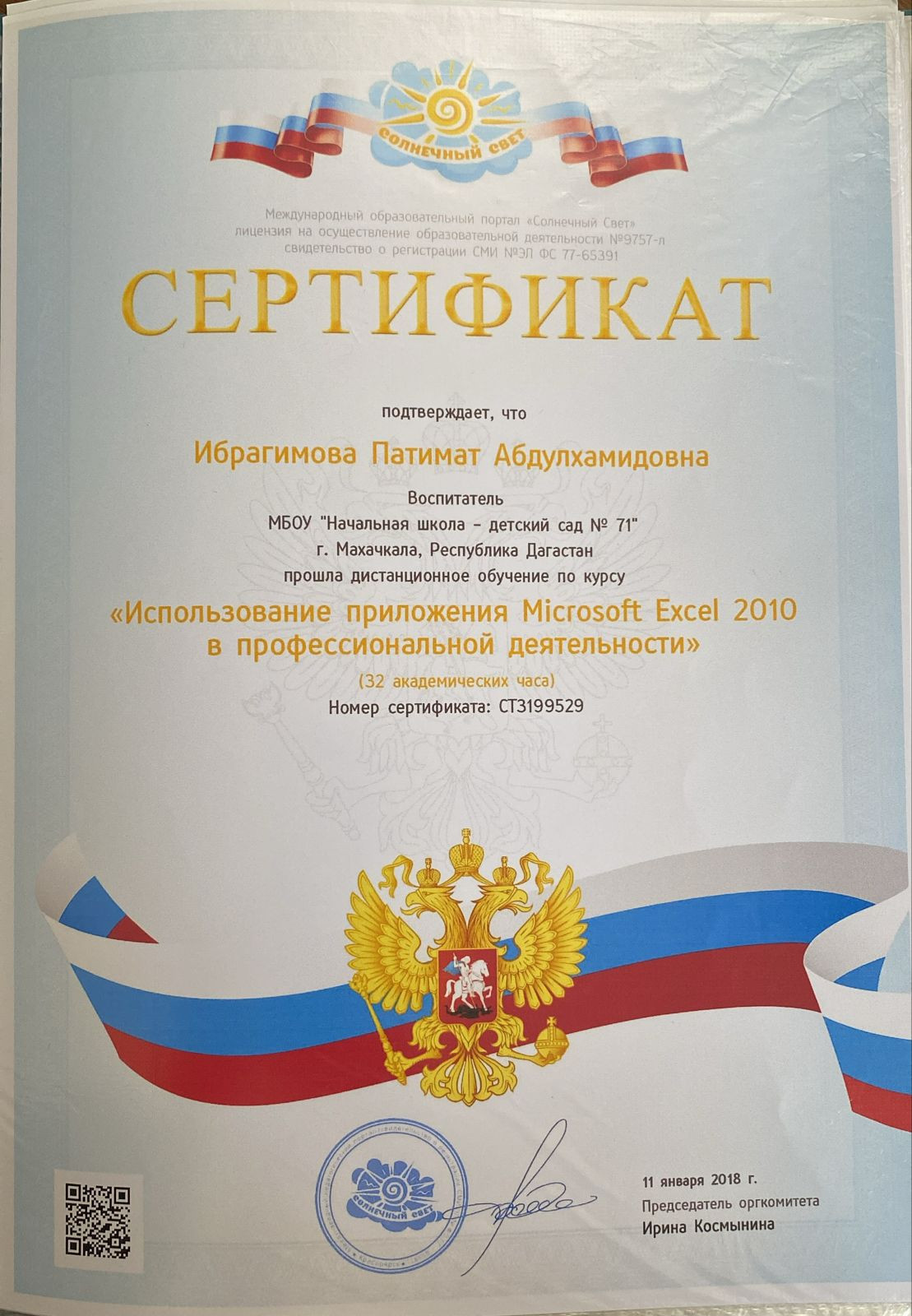 МОИ  ПРОФЕССИОНАЛЬНЫЕ   ДОСТИЖЕНИЯ