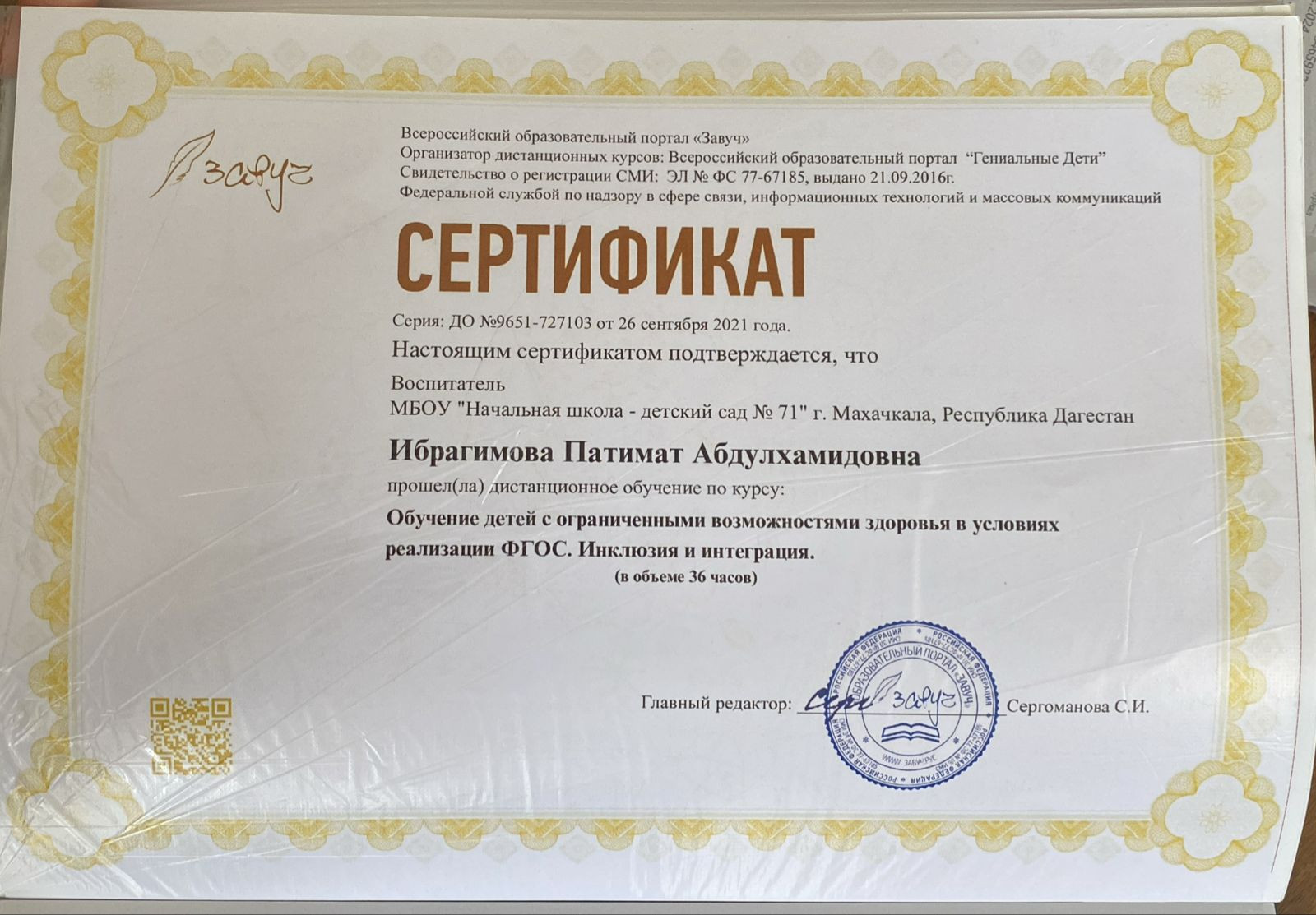 МОИ  ПРОФЕССИОНАЛЬНЫЕ   ДОСТИЖЕНИЯ