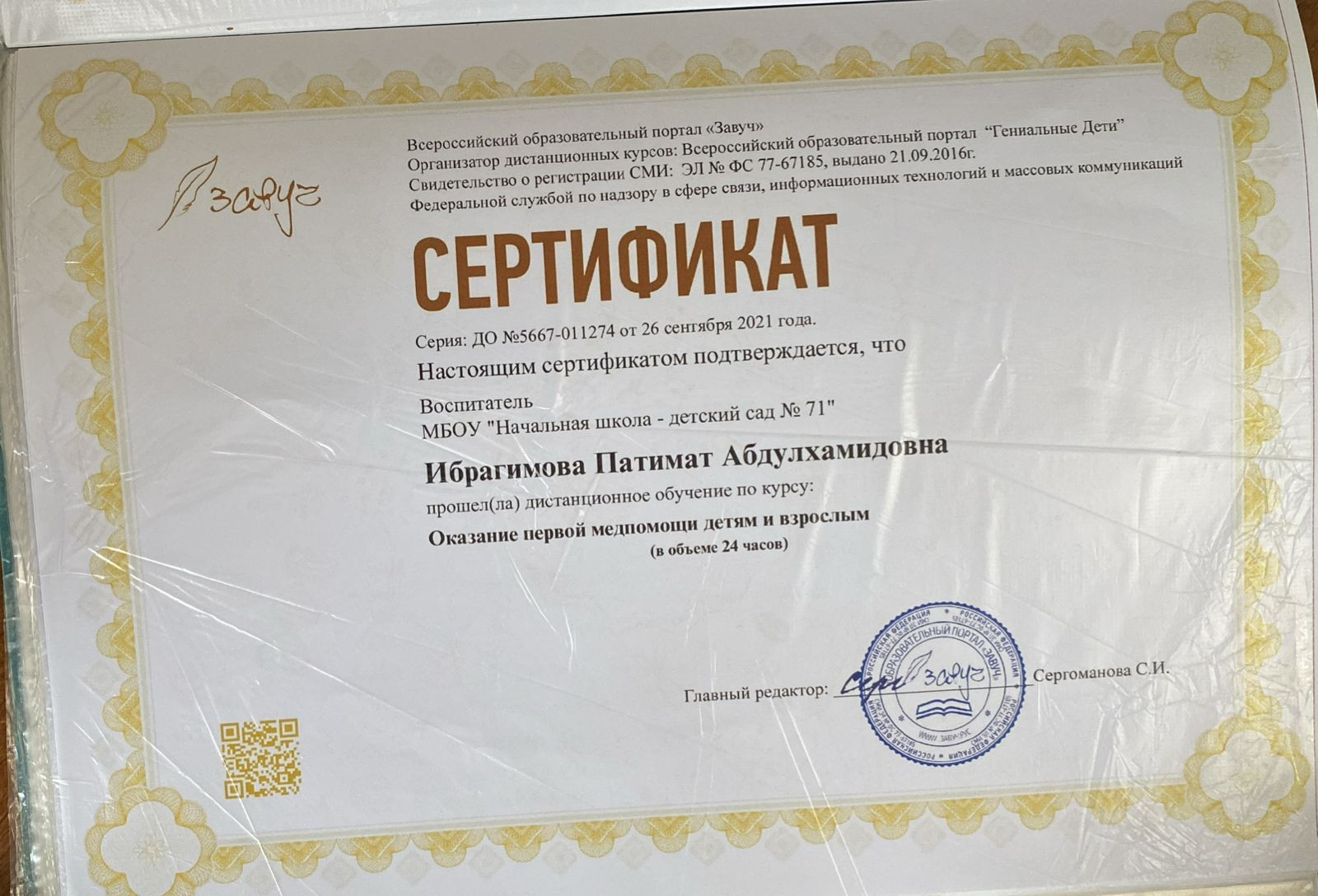 МОИ  ПРОФЕССИОНАЛЬНЫЕ   ДОСТИЖЕНИЯ