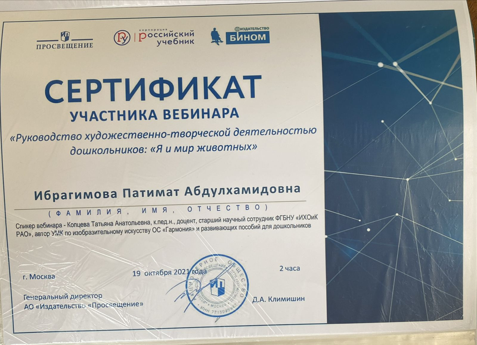 МОИ  ПРОФЕССИОНАЛЬНЫЕ   ДОСТИЖЕНИЯ