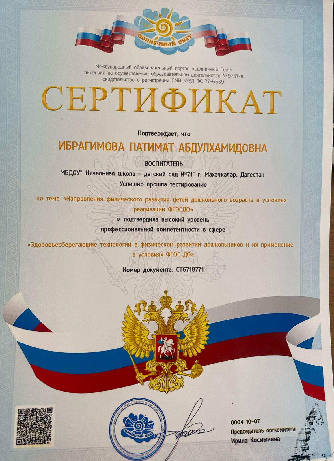 МОИ  ПРОФЕССИОНАЛЬНЫЕ   ДОСТИЖЕНИЯ