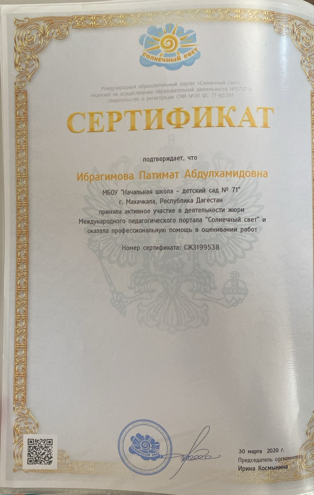 МОИ  ПРОФЕССИОНАЛЬНЫЕ   ДОСТИЖЕНИЯ