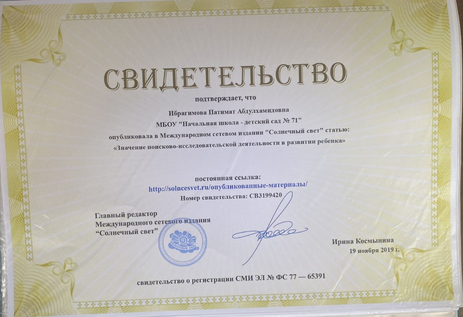 МОИ  ПРОФЕССИОНАЛЬНЫЕ   ДОСТИЖЕНИЯ