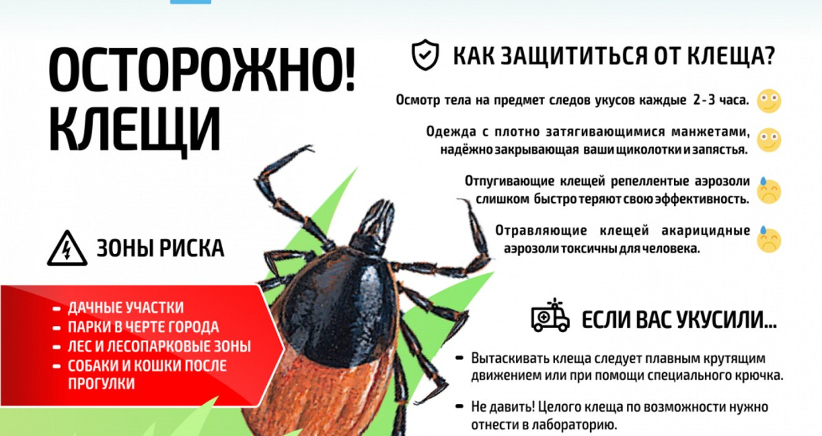КЛЕЩИ: КАК ЗАЩИТИТЬСЯ. ПРИЗНАКИ УКУСА, КАК УДАЛИТЬ КЛЕЩА И ЧТО ДЕЛАТЬ ПОСЛЕ УКУСА. СРЕДСТВА И ПРИВИВКИ ОТ КЛЕЩЕЙ КЛЕЩИ: КАК ЗАЩИТИТЬСЯ. ПРИЗНАКИ УКУСА, КАК УДАЛИТЬ КЛЕЩА И ЧТО ДЕЛАТЬ ПОСЛЕ УКУСА. СРЕДСТВА И ПРИВИВКИ ОТ КЛЕЩЕЙ