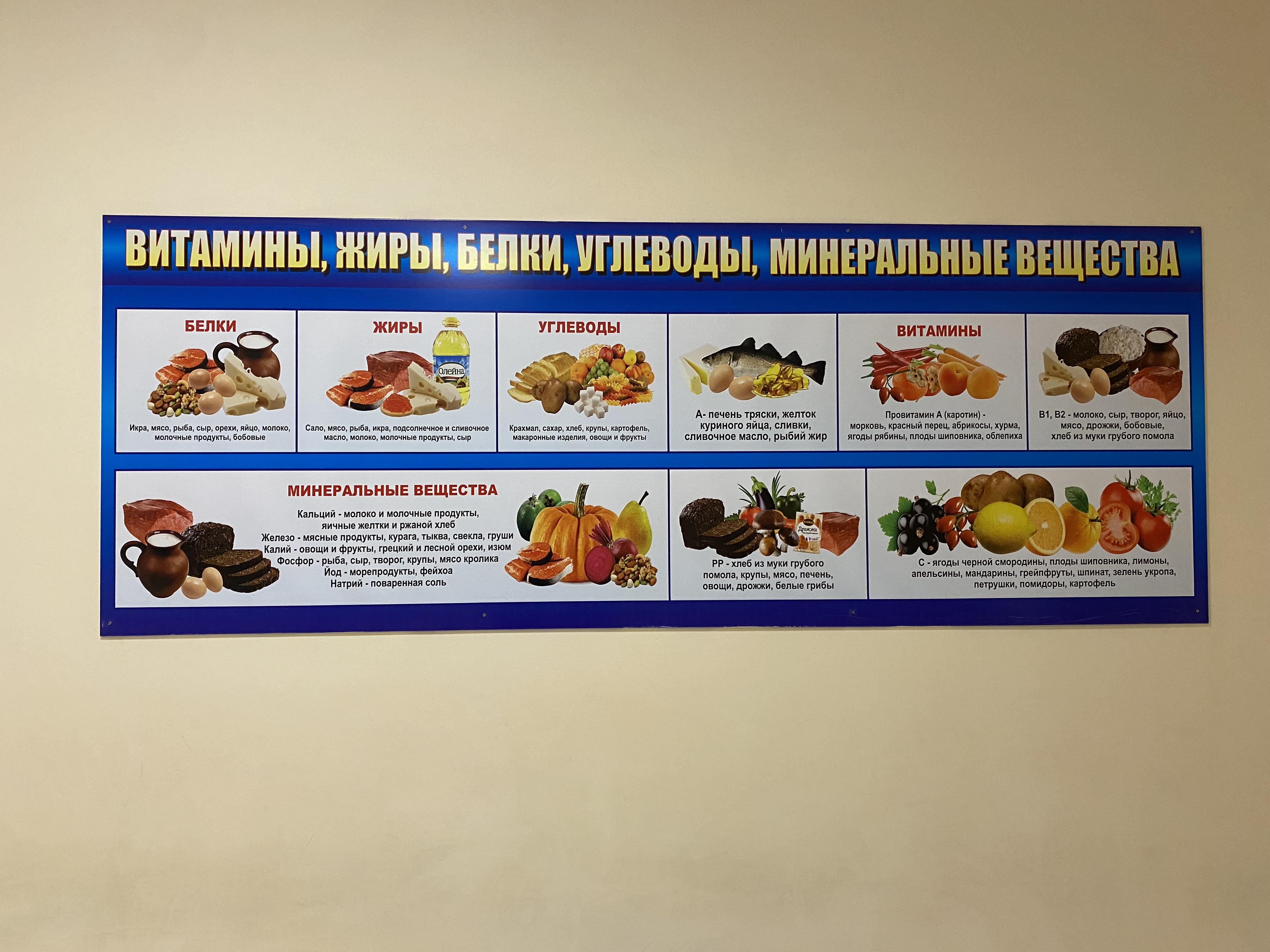 Интерьер и декоративное оформление:  уголок потребителя: