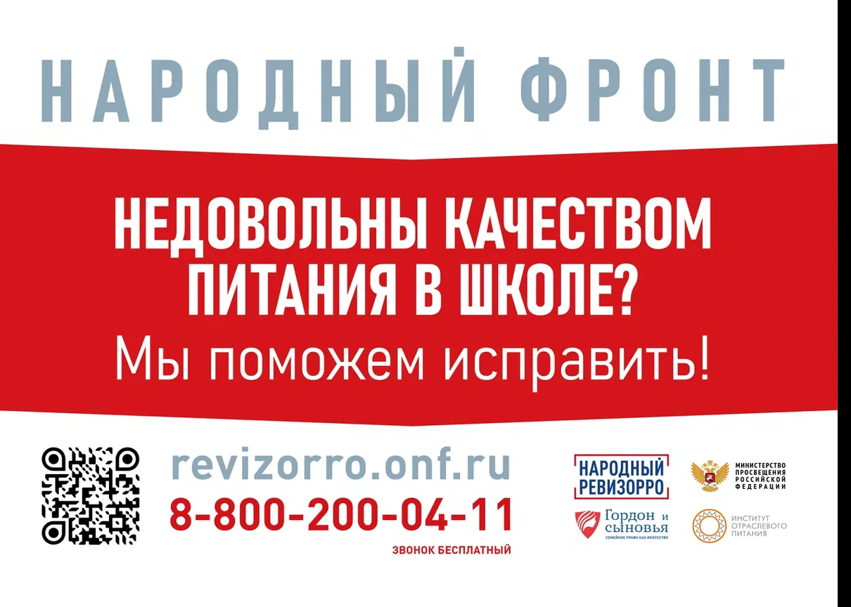 Народный ревизор Народный ревизор
