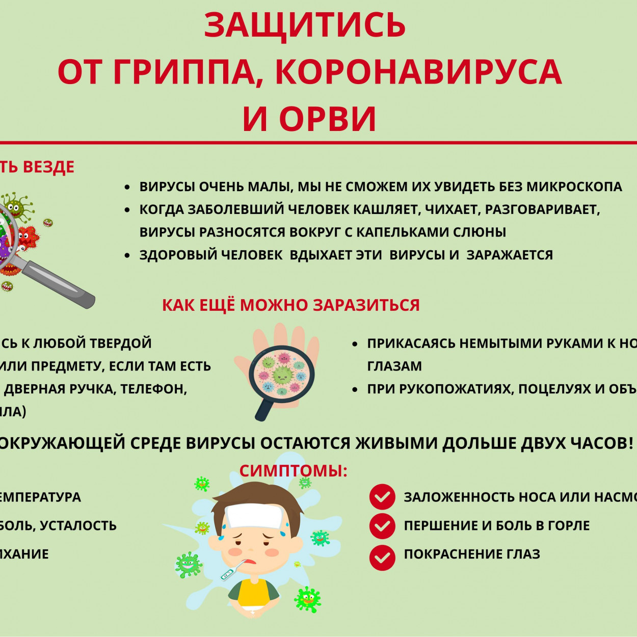 Профилактика вирусных