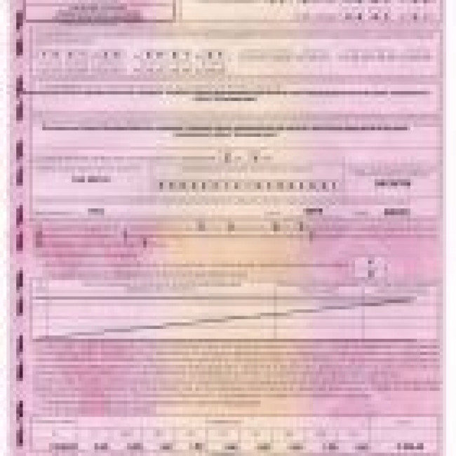 Школьный автобус