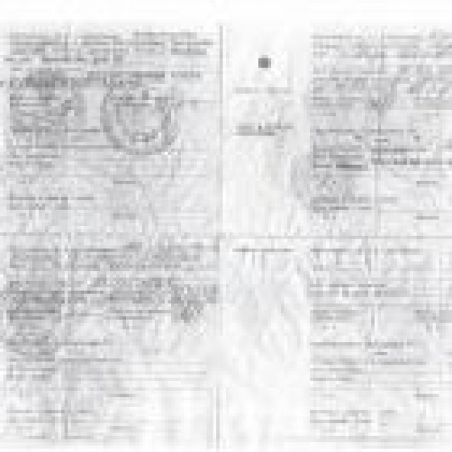 Школьный автобус