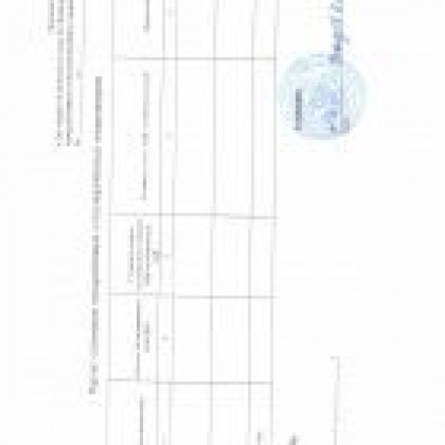 Школьный автобус