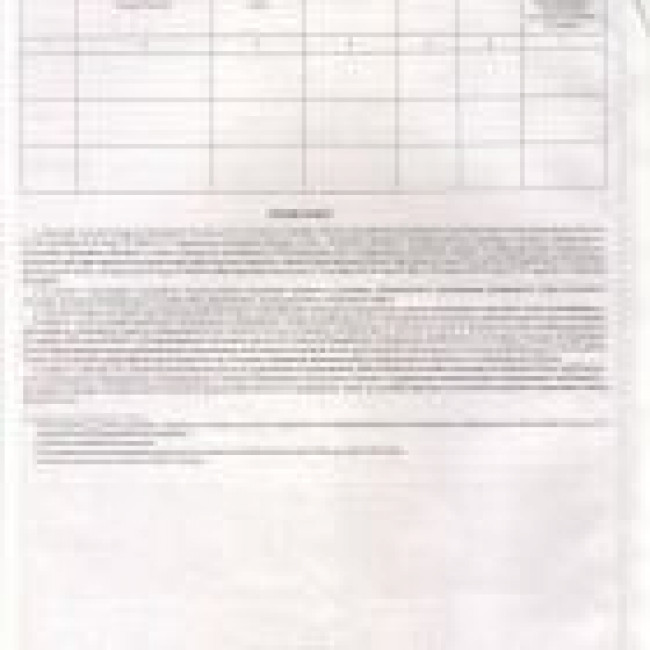 Школьный автобус