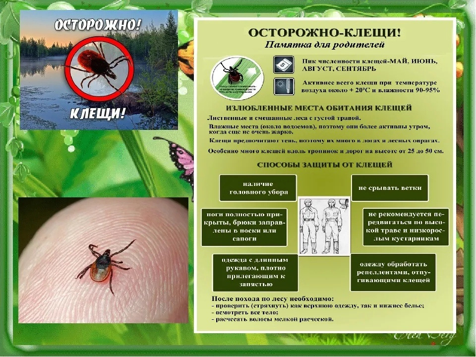 Консультация для родителей