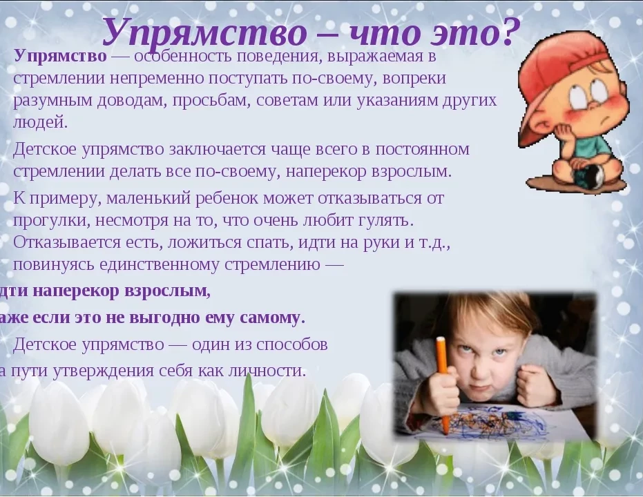 Беседа с родителями в средней группе "капризы и упрямство"