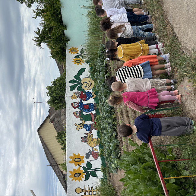 Поход в огород на участке детского сада .Наблюдение. «Что растёт в огороде на грядках»