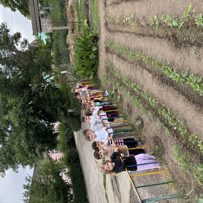 Поход в огород на участке детского сада .Наблюдение. «Что растёт в огороде на грядках»