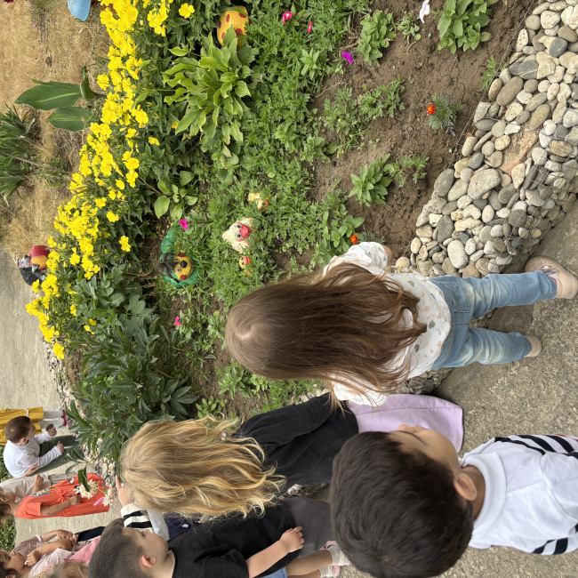 Наблюдение за цветами на участке детского сада с 2гр.раннего  возраста .