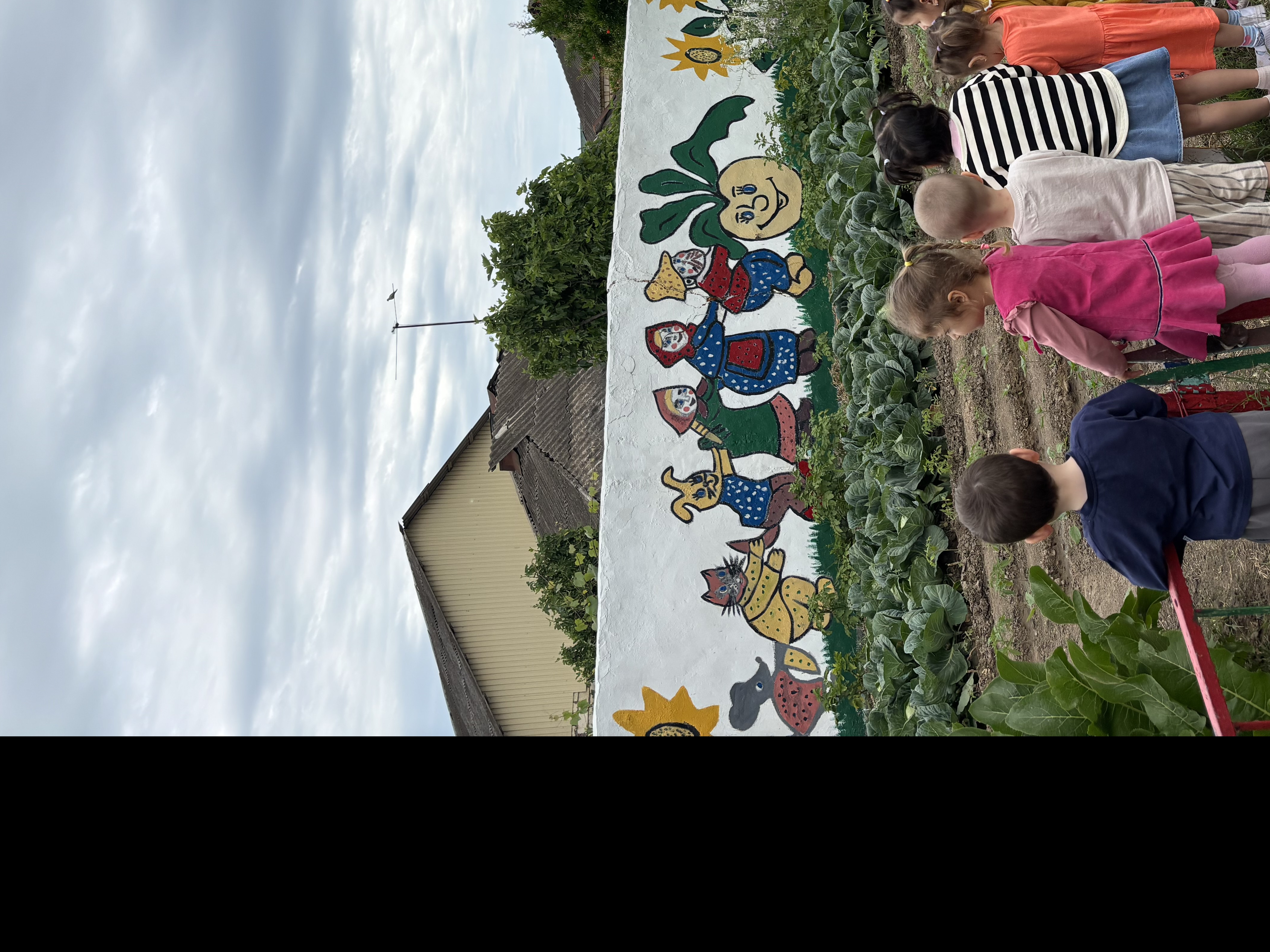 Поход в огород на участке детского сада .Наблюдение. «Что растёт в огороде на грядках»