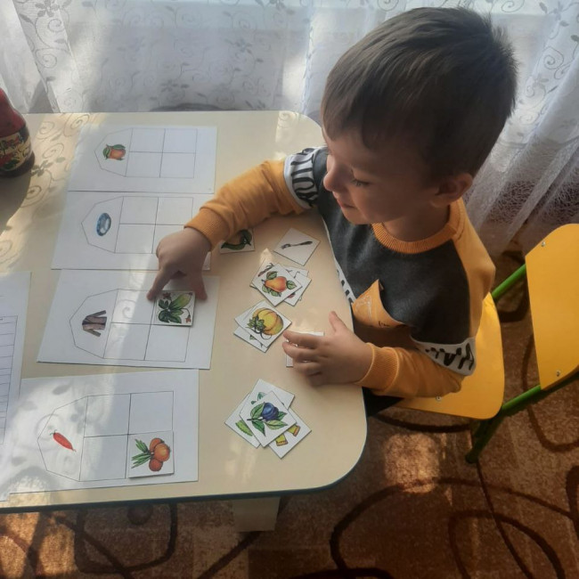 Коррекционная и диагностическая работа с детьми 4-5 лет на восприятие, общую осведомленность, внимание, память, воображение.