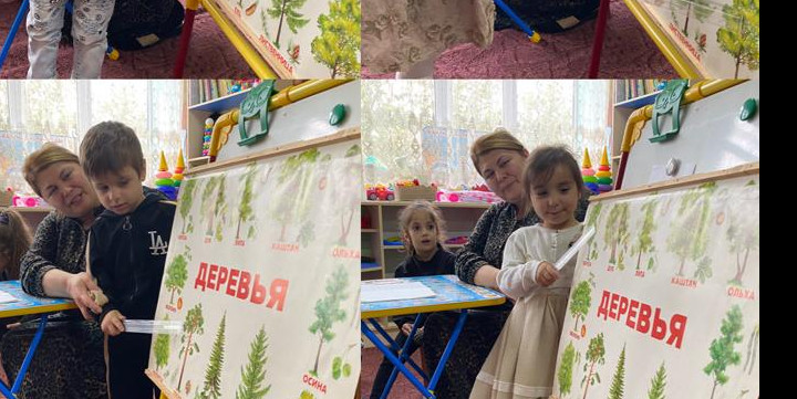 ООД по ФЦКМ в мл.гр.2 на тему:"Знакомство с деревьями".