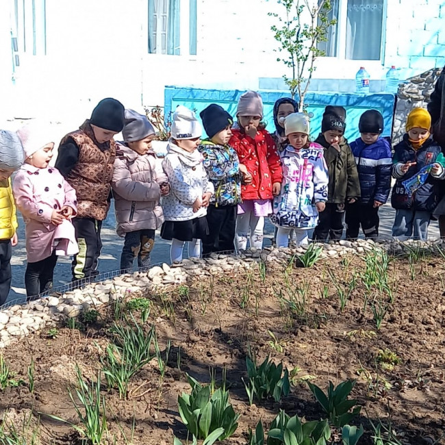 НАБЛЮДЕНИЕ ЗА ИЗМЕНЕНИЯМИ В ПРИРОДЕ